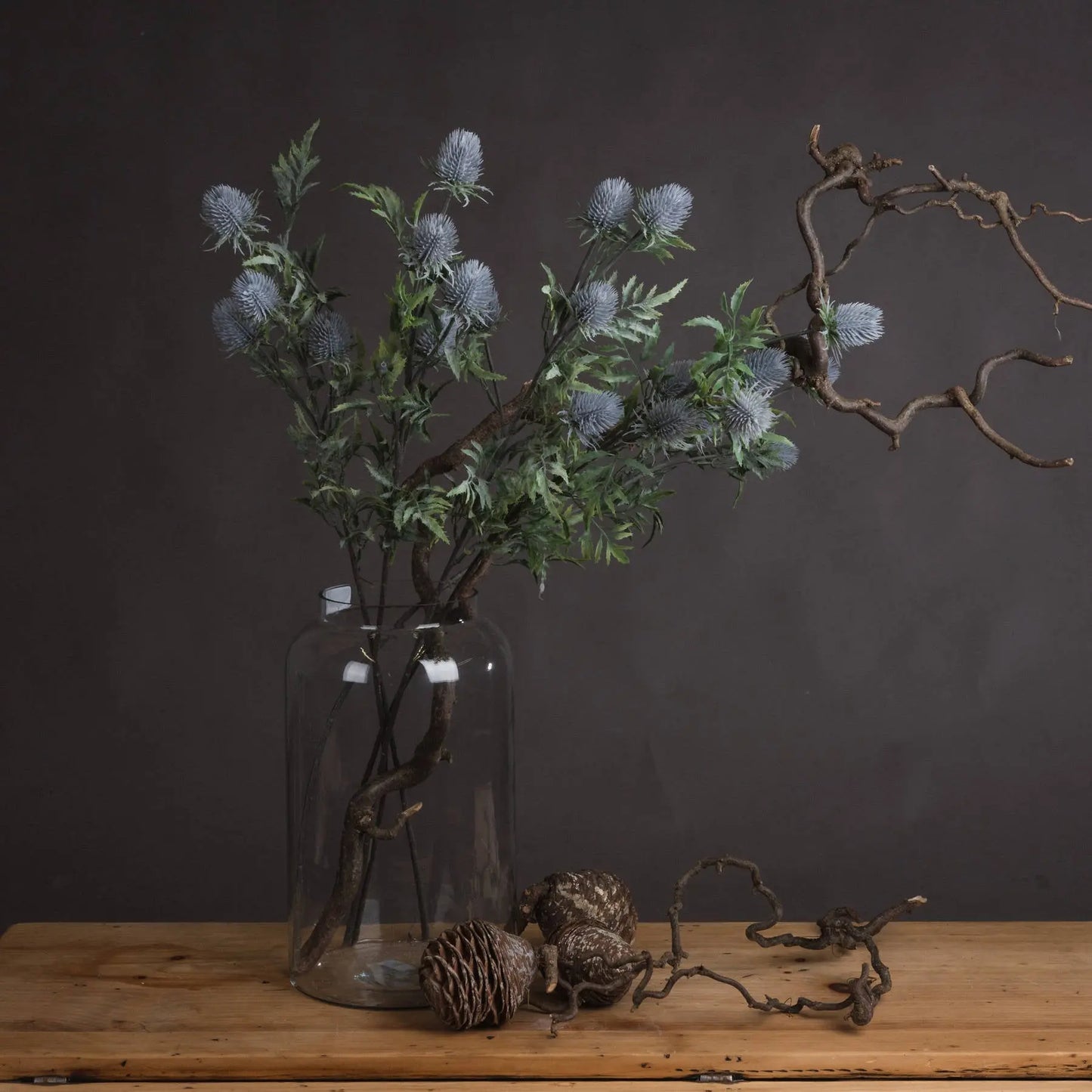 Eryngium Blue Thistle Makur Interior