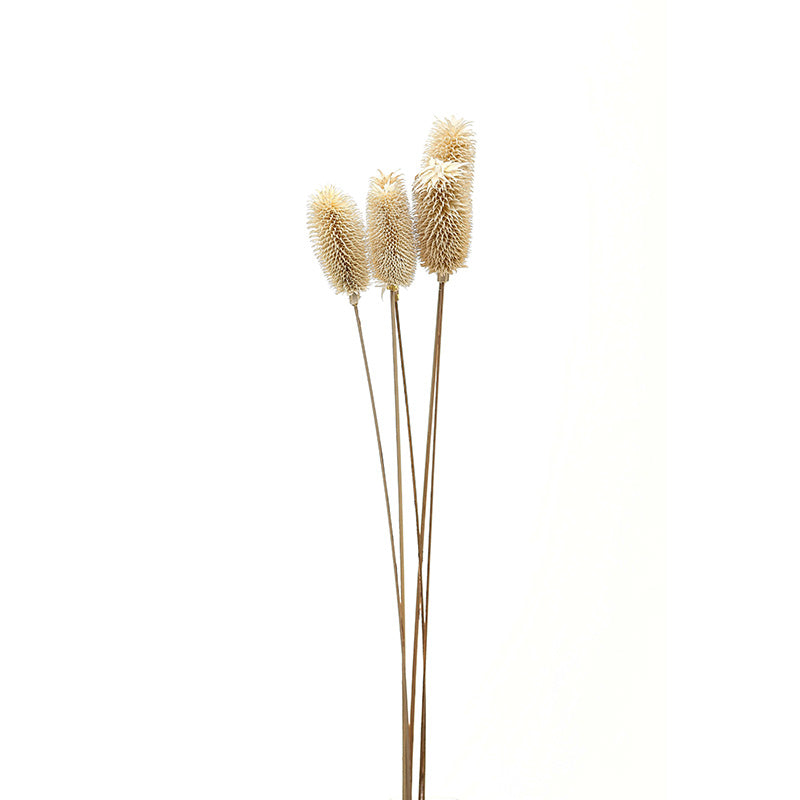 Bouquet Of Dried Tall Thistle Makur Interior