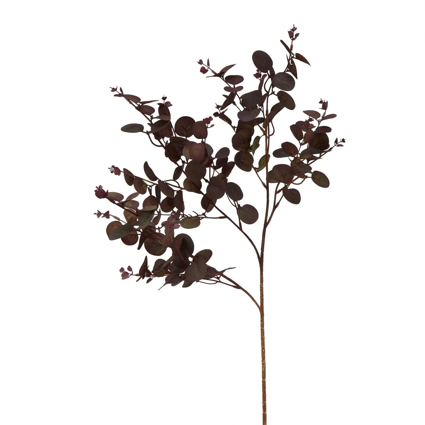 Burgundy Eucalyptus Bunch Makur Interior