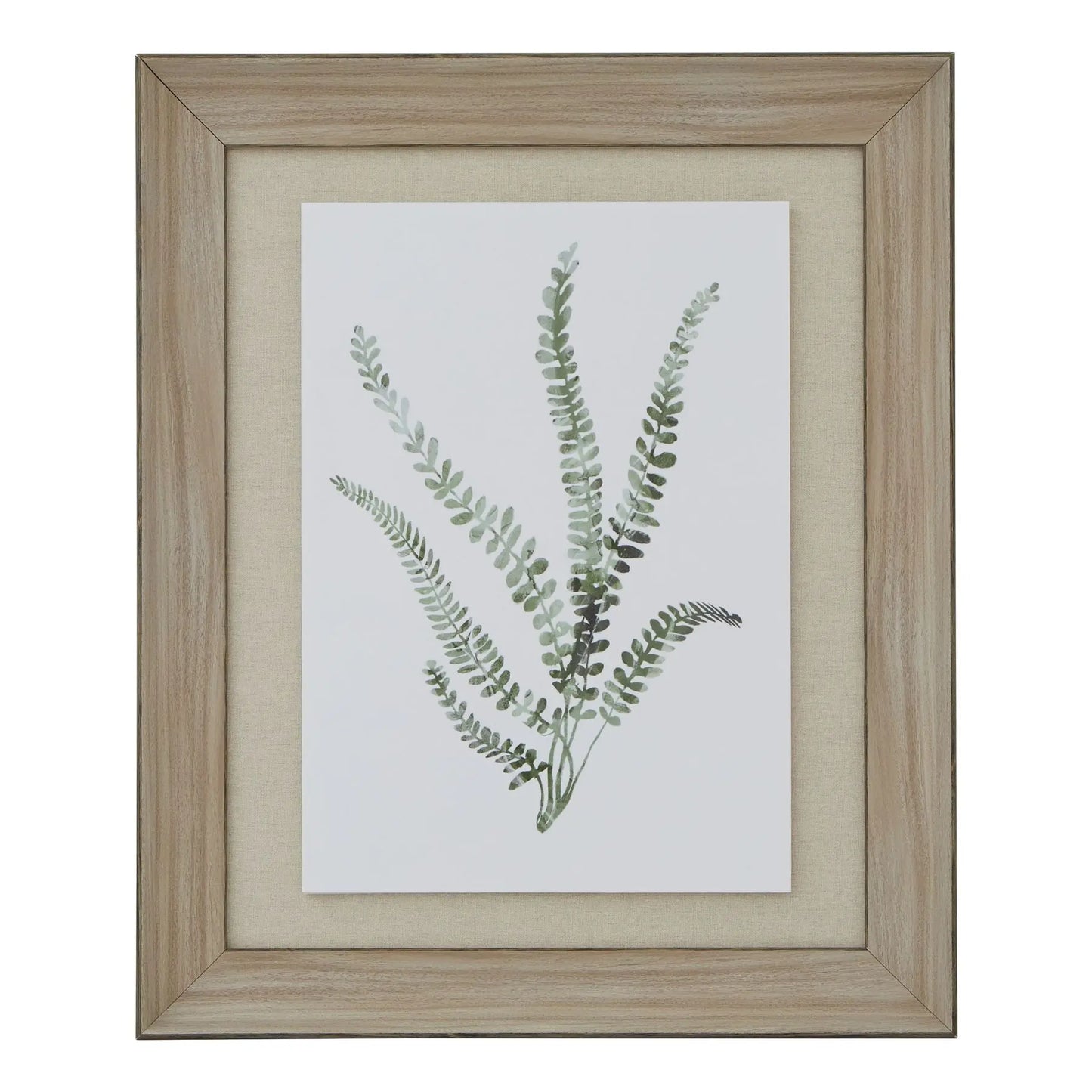 Watercolour Delicate Fern In Washed Wood Frame Makur Interior