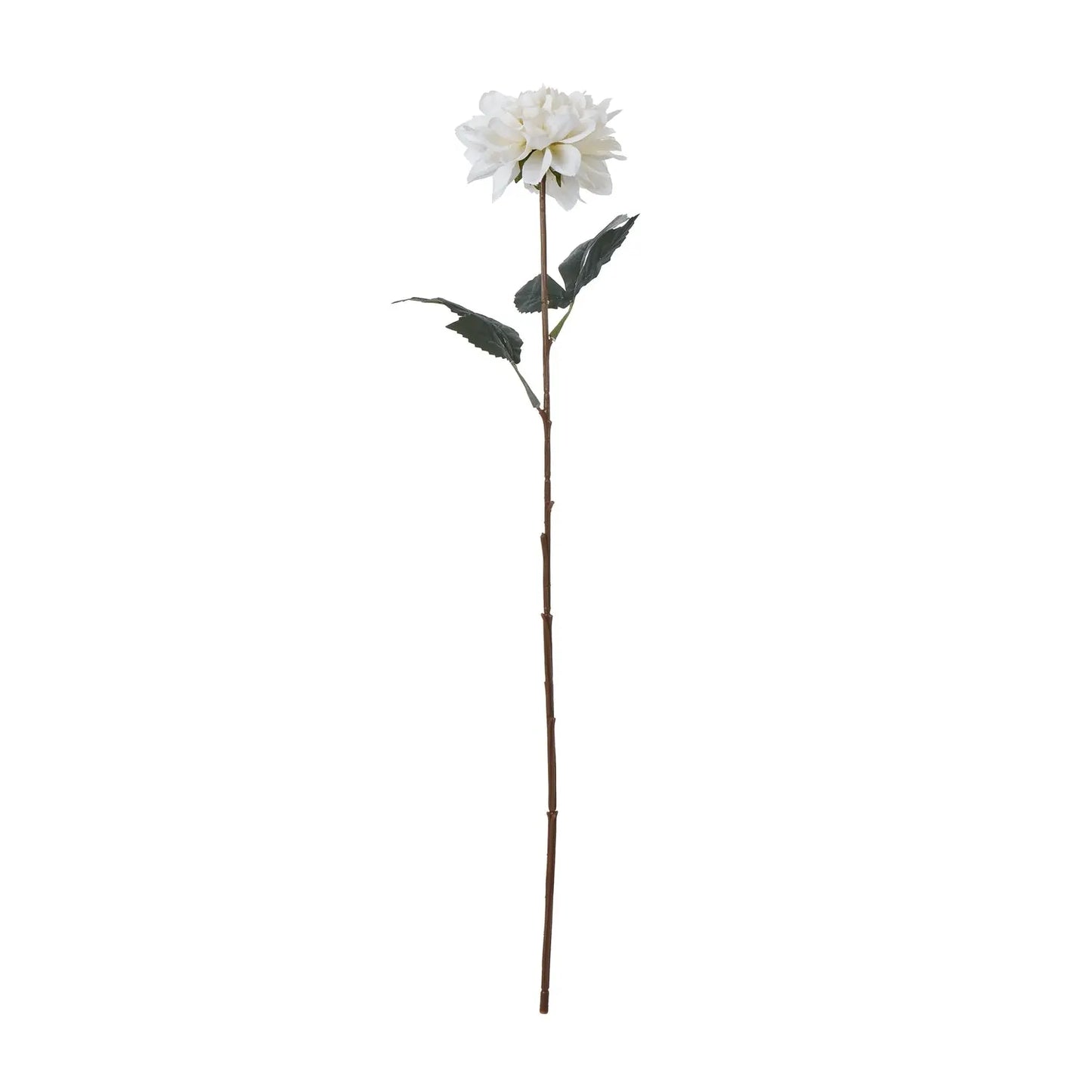 The Natural Garden Collection Tall White Dahlia Makur Interior