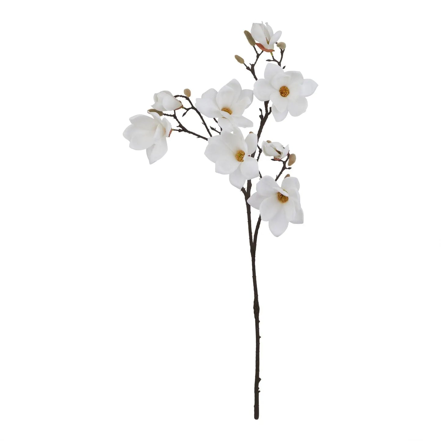 The Natural Garden Collection White Magnolia Stem Makur Interior