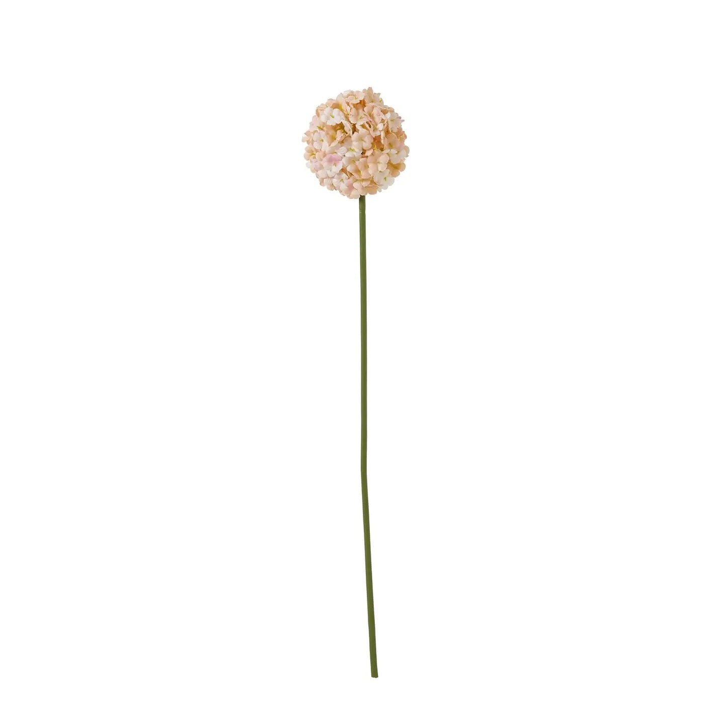 The Natural Garden Collection White & Apricot Allium Makur Interior