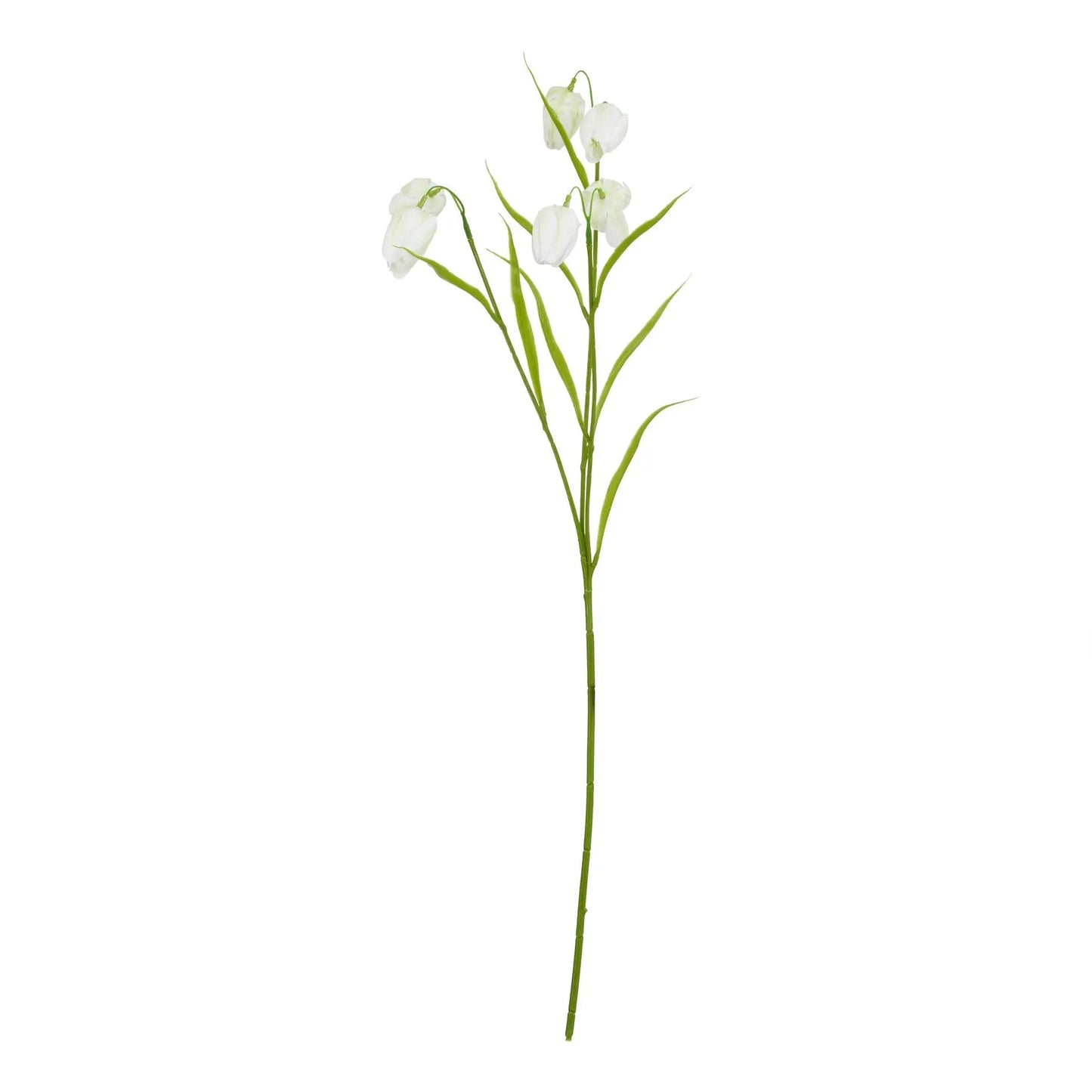 The Natural Garden Collection White Fritillaria Stem Makur Interior