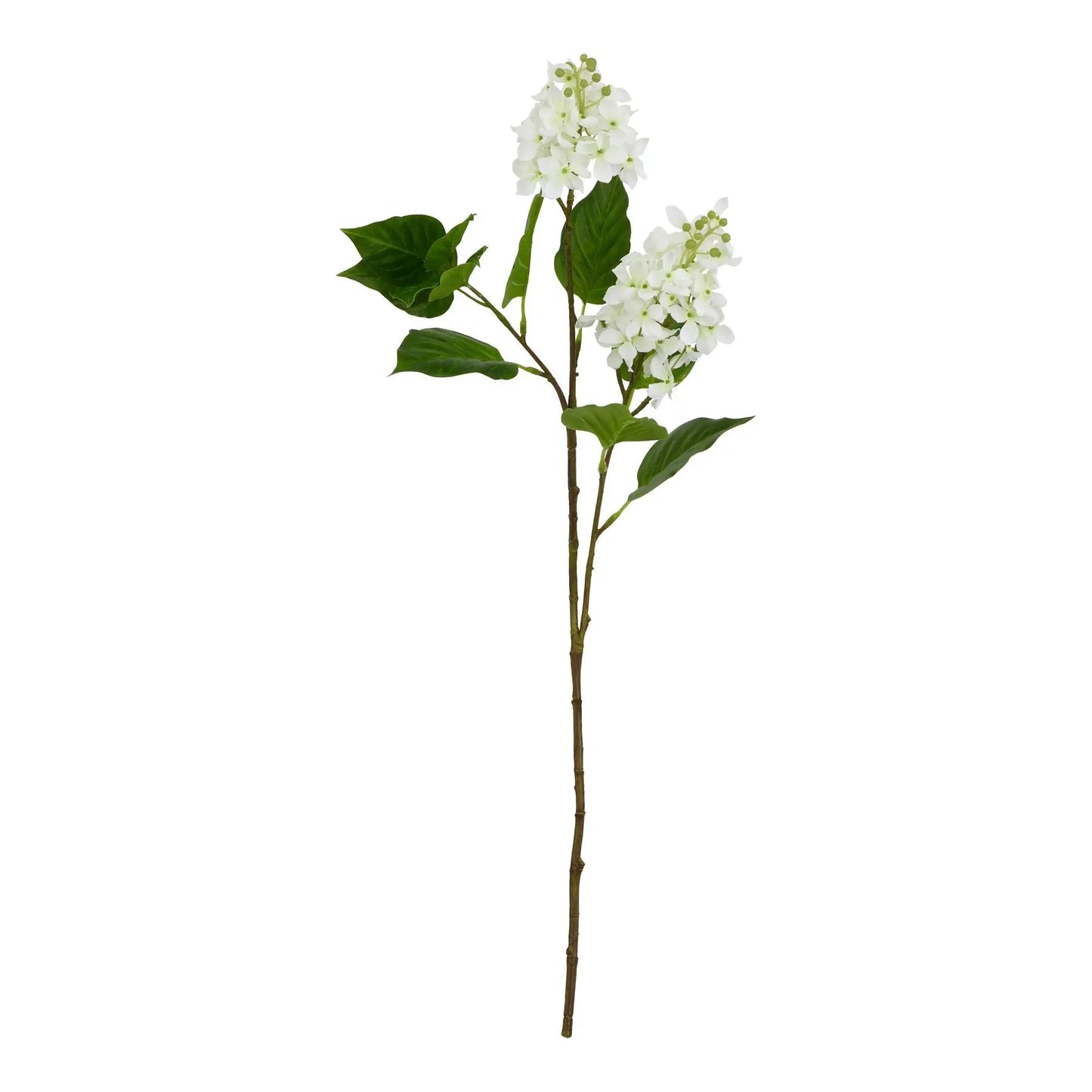 The Natural Garden Collection White Lilac Stem Makur Interior