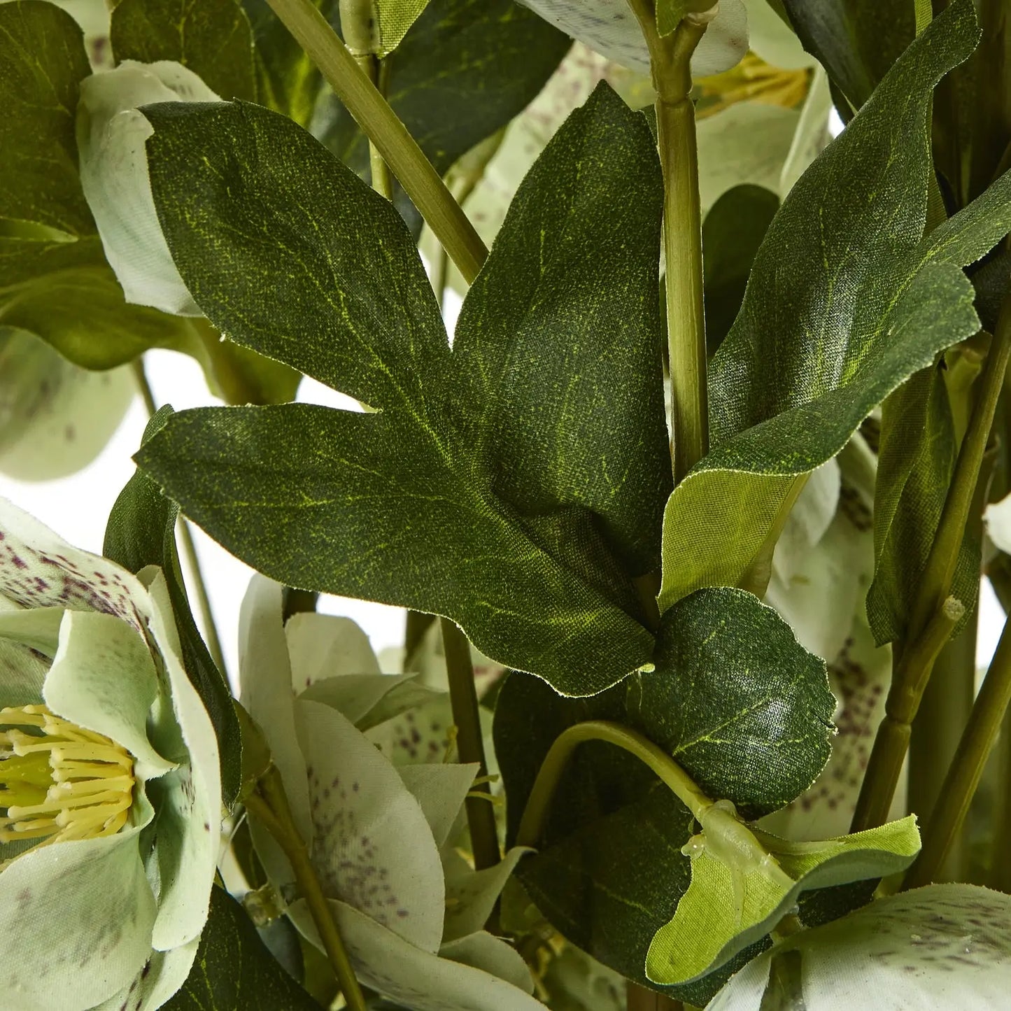 Large Green Hellebore in Taupe Pot Makur Interior