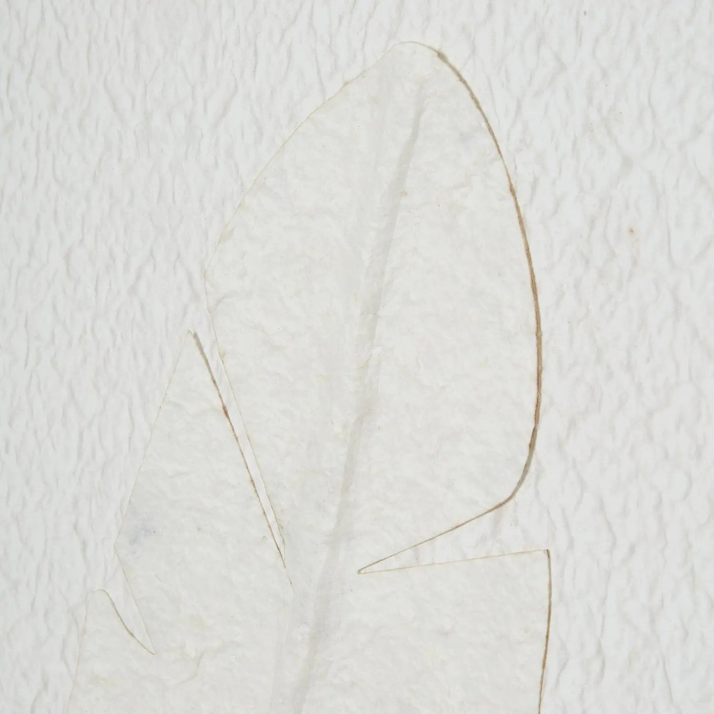 Large Quill White Feather Art Mounted In Beaded Frame Makur Interior