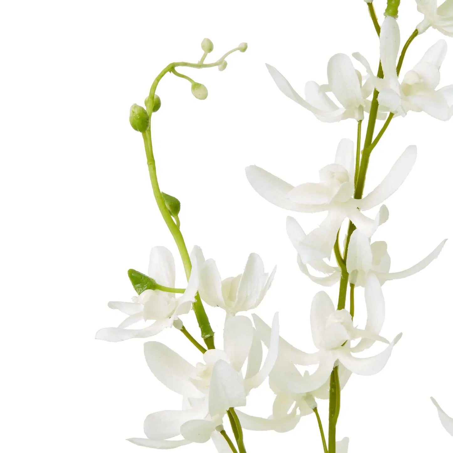 White Cymbidium Spray Makur Interior