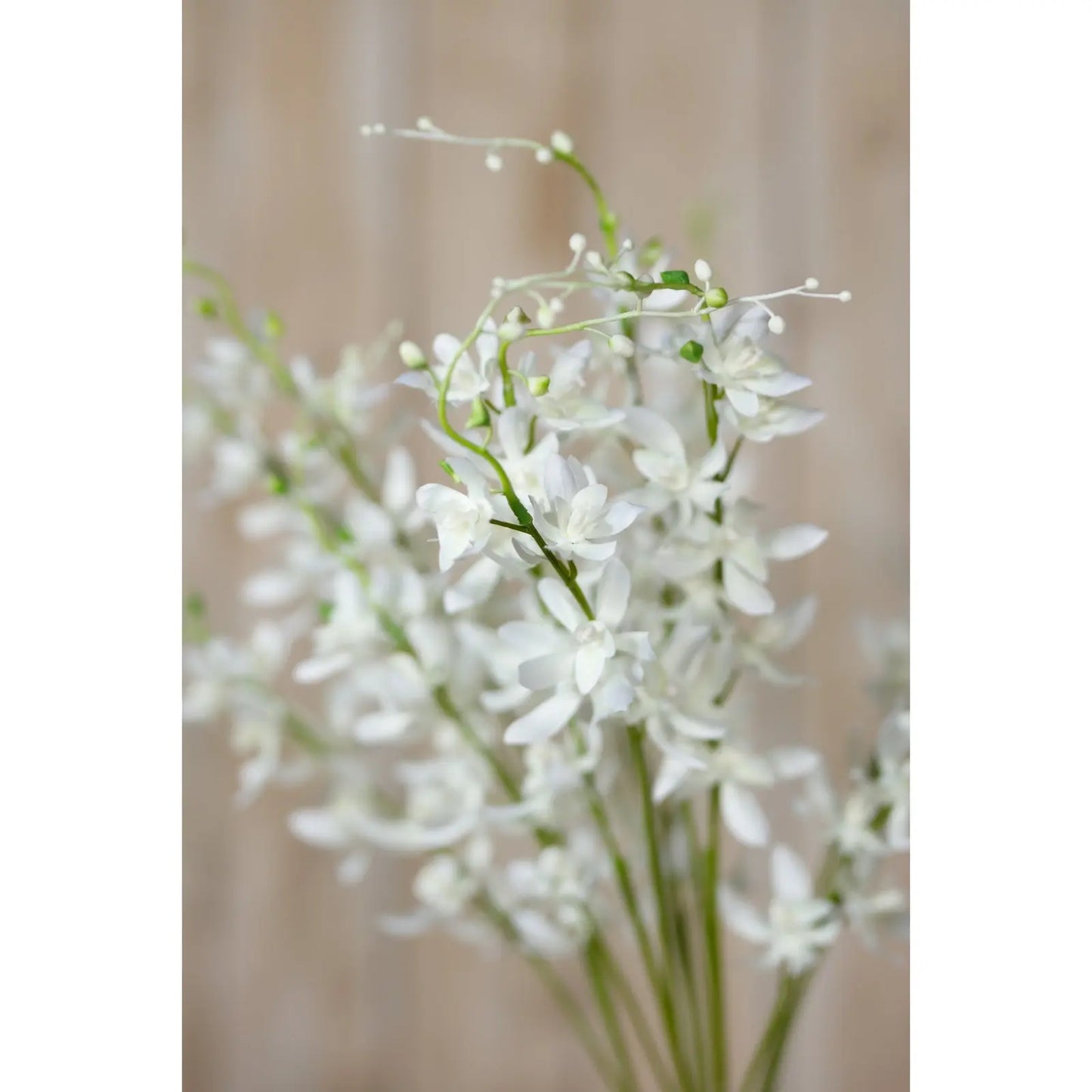 White Cymbidium Spray Makur Interior