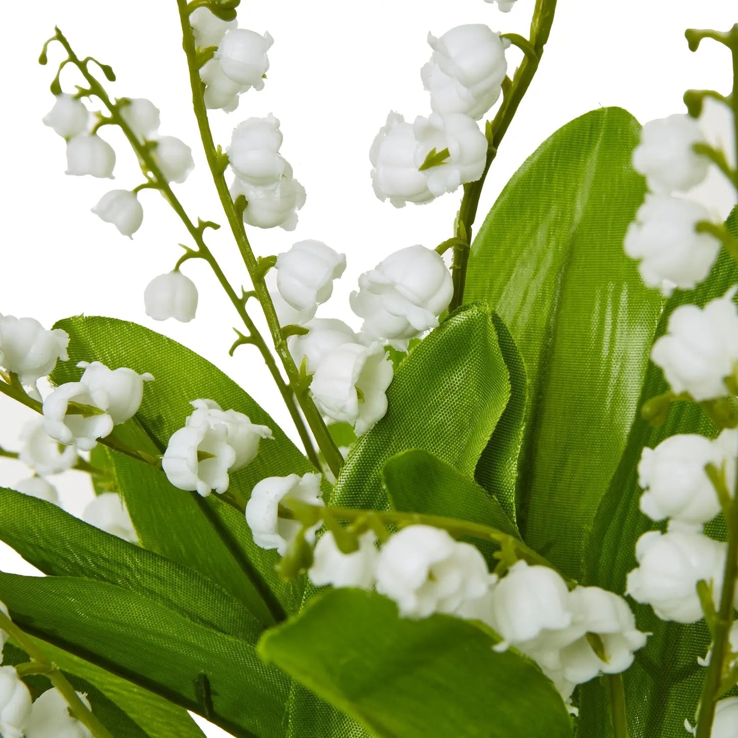 Lily Of The Valley Bunch Makur Interior