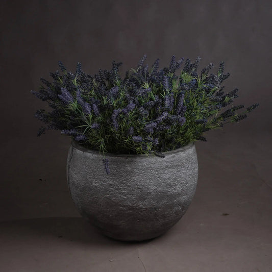 Large Lavender Bush Makur Interior