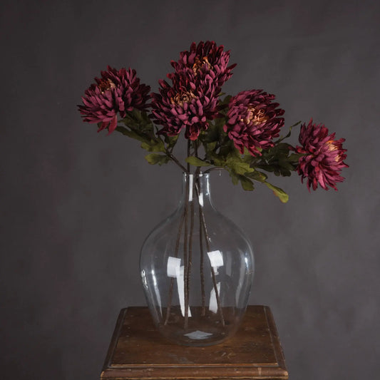 Autumn Spider Chrysanthemum Makur Interior
