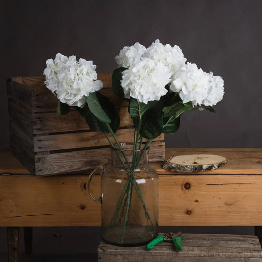 White Small Head Hydrangea Makur Interior