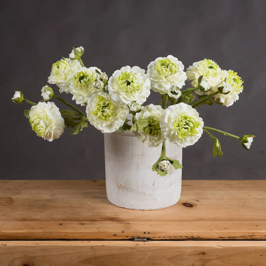 Green Ranunculus Spray Makur Interior