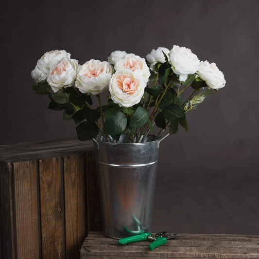 Blush Garden Rose Makur Interior