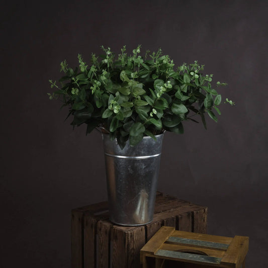 Cineraria Eucalyptus Spray Makur Interior