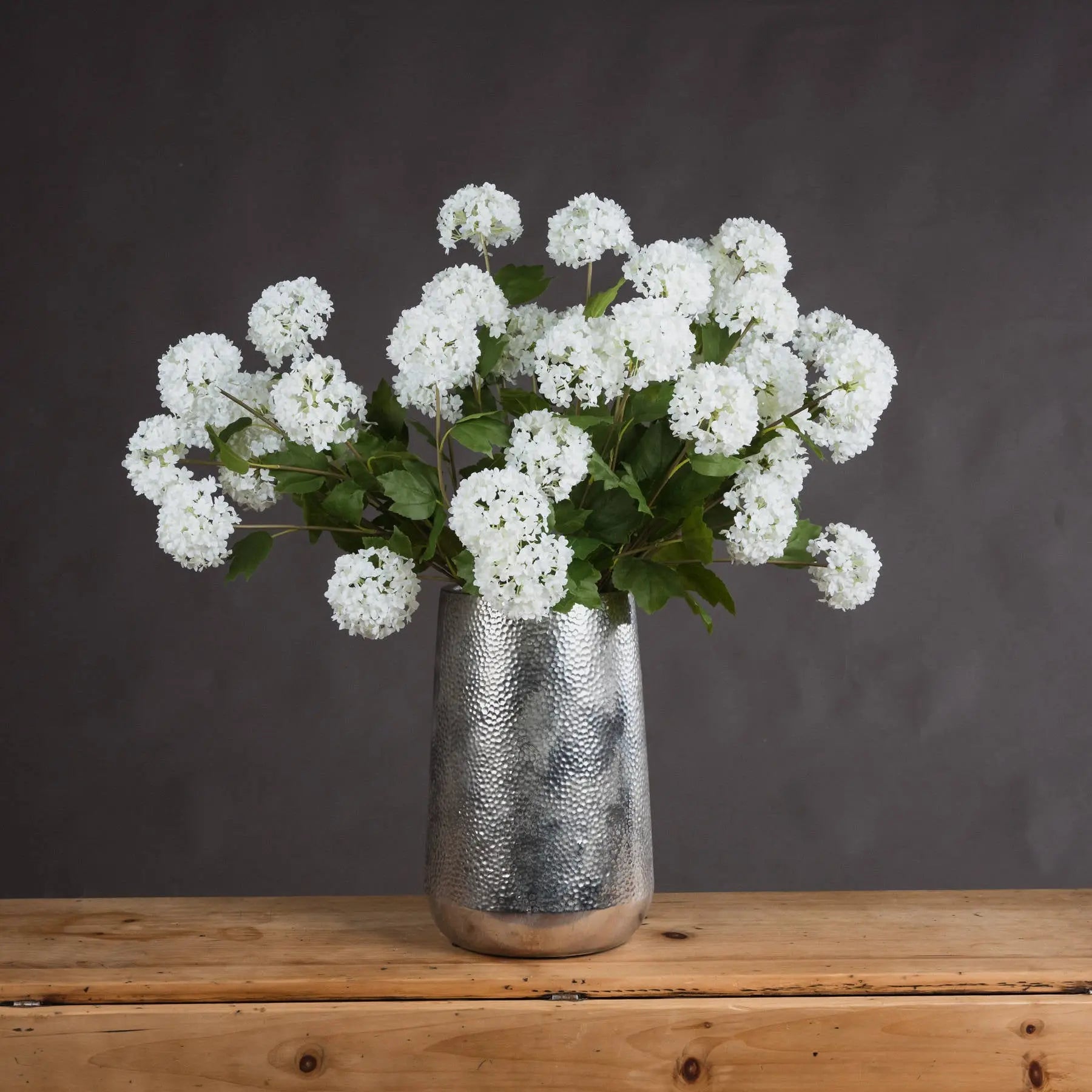 Viburnum Opulus Makur Interior