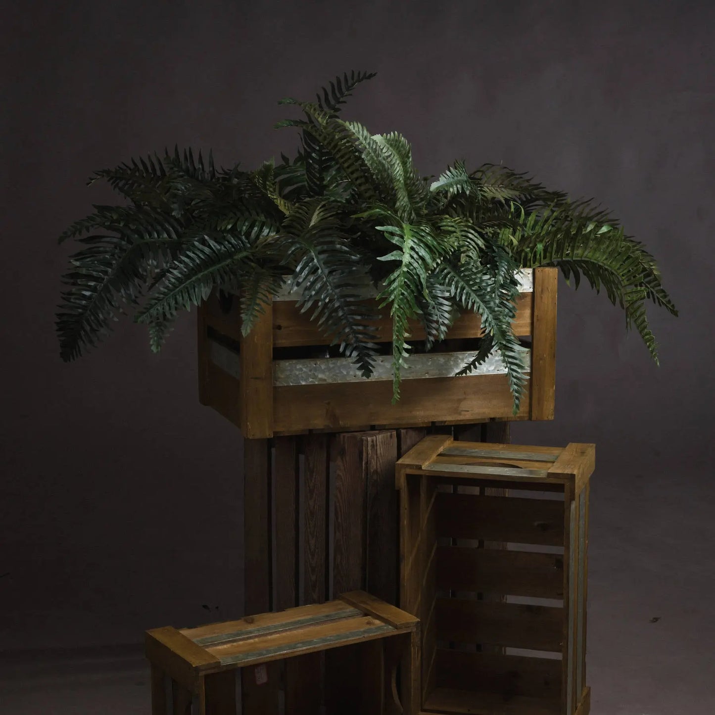 Fern Bunch Makur Interior