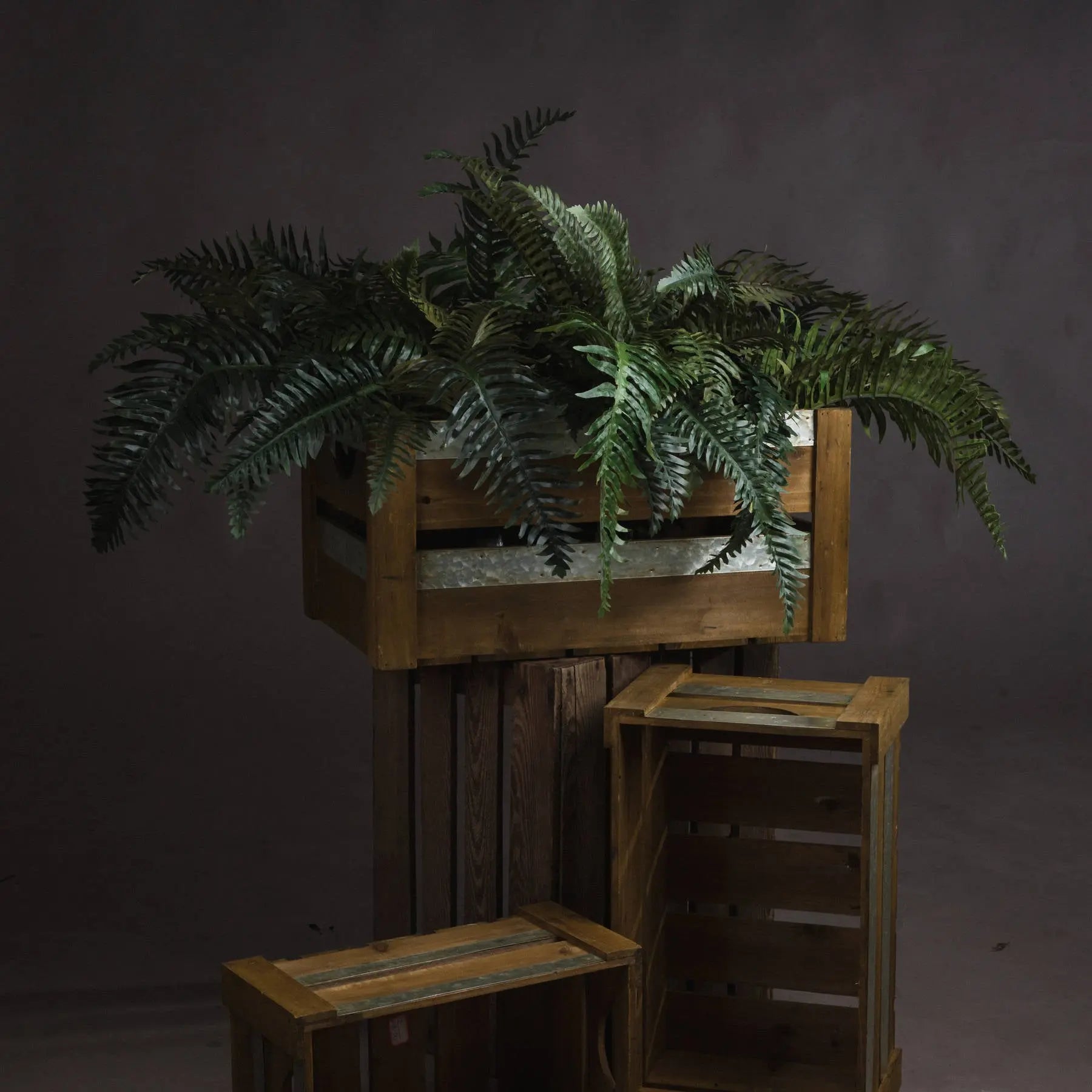 Fern Bunch Makur Interior
