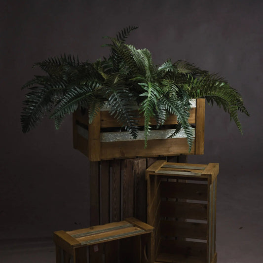 Fern Bunch Makur Interior