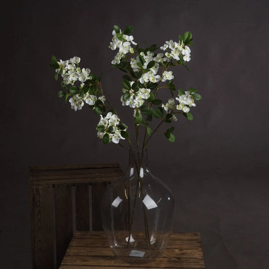 White Spring Mock Orange Flower Makur Interior