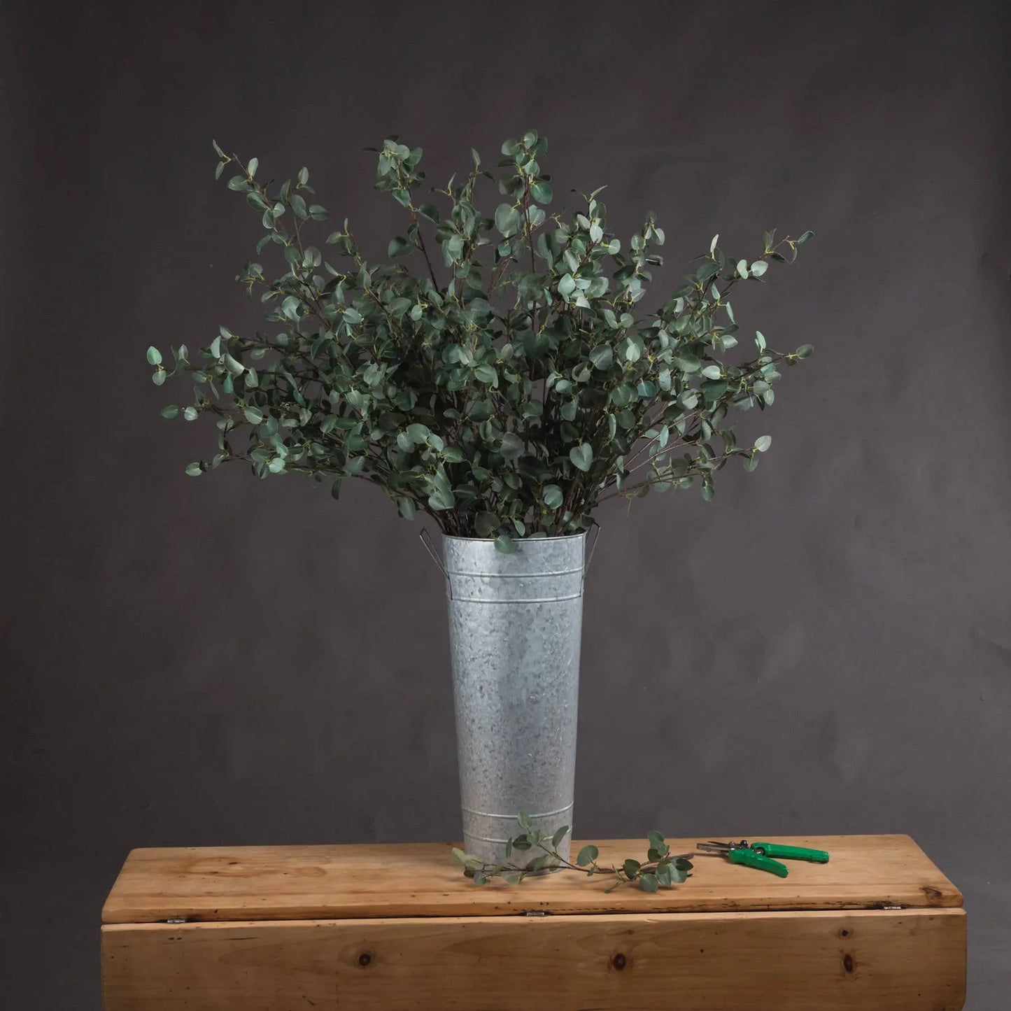Tall Eucalyptus Stem Makur Interior