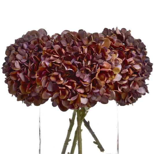 Autumn Coffee Hydrangea Makur Interior