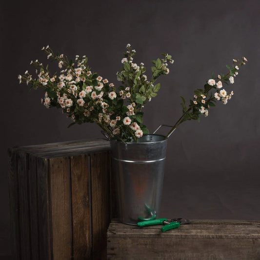 Cream Wild Meadow Rose Makur Interior