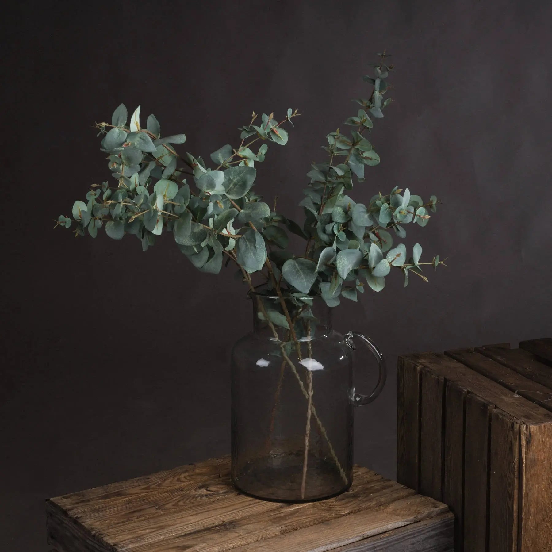 Variegated Eucalyptus Makur Interior