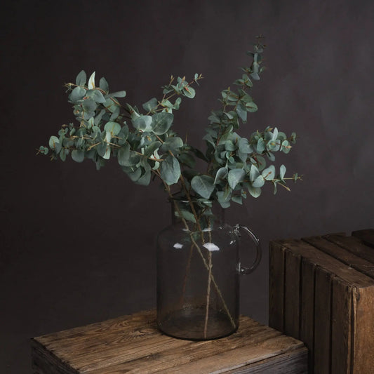 Variegated Eucalyptus Makur Interior