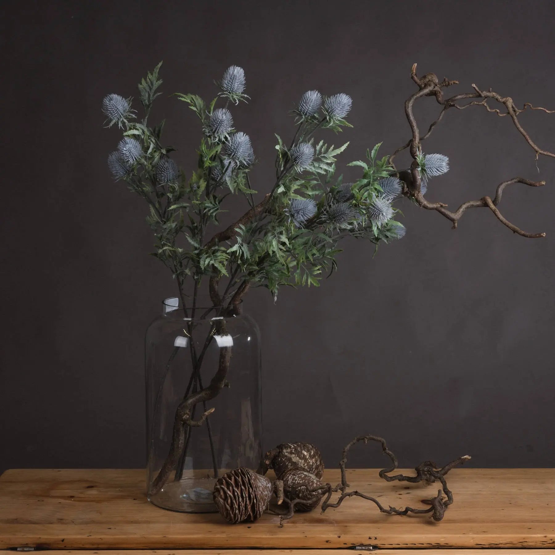 Eryngium Blue Thistle Makur Interior