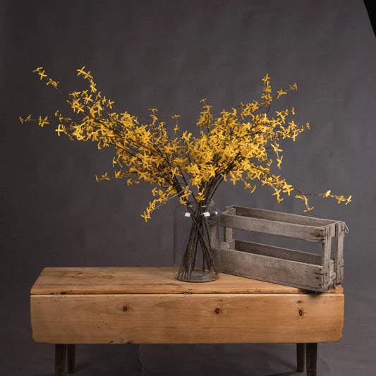 Forsythia Makur Interior