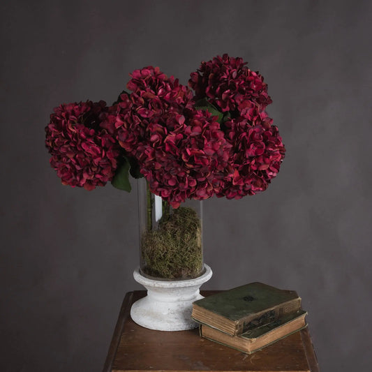 Autumn Ruby Hydrangea Makur Interior