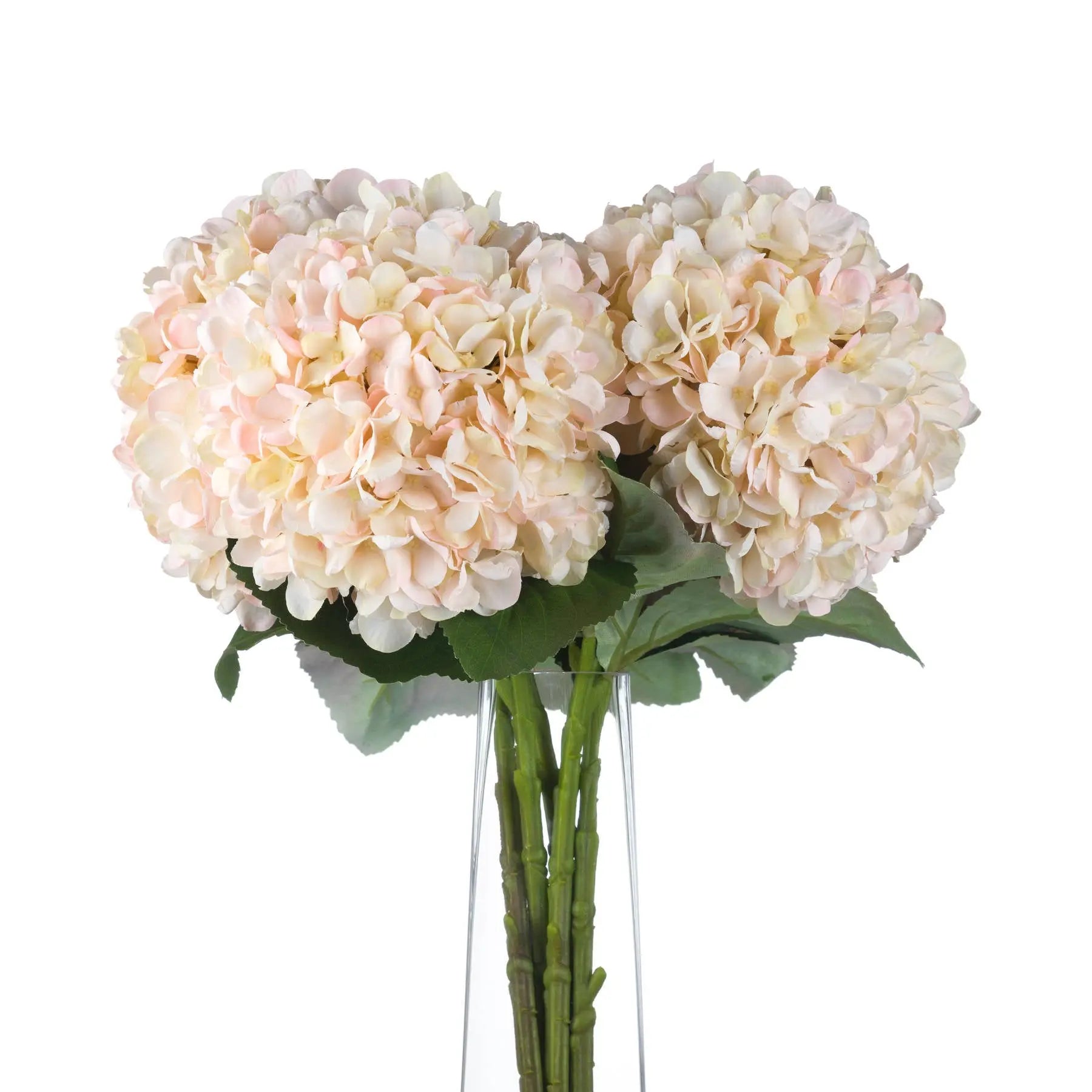 Autumn White Hydrangea Makur Interior