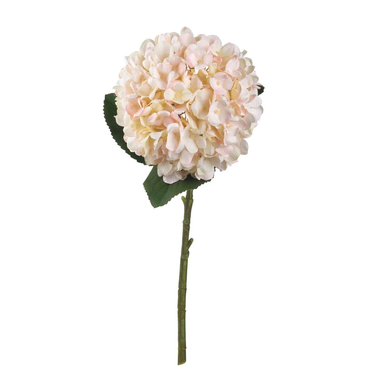 Autumn White Hydrangea Makur Interior