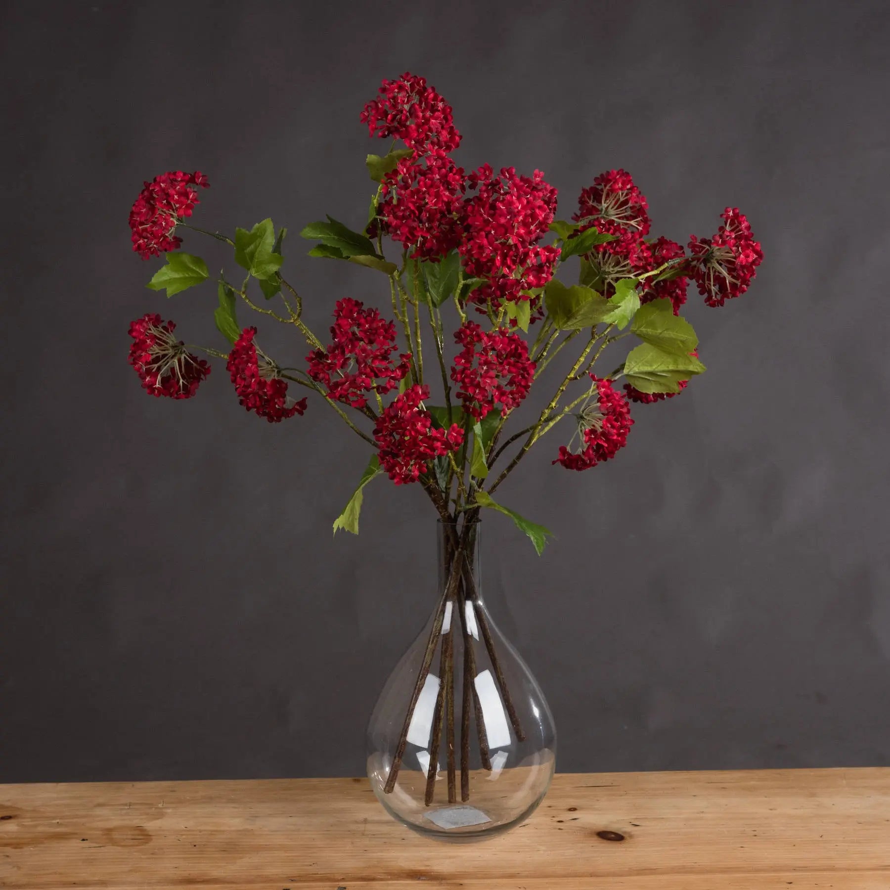 Red Autumnal Viburnum Makur Interior