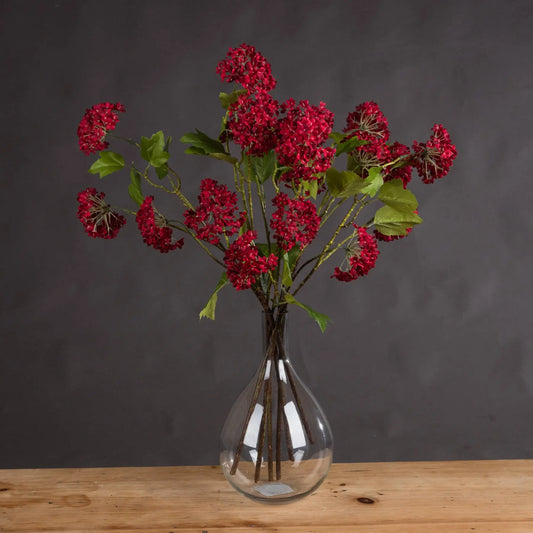 Red Autumnal Viburnum Makur Interior