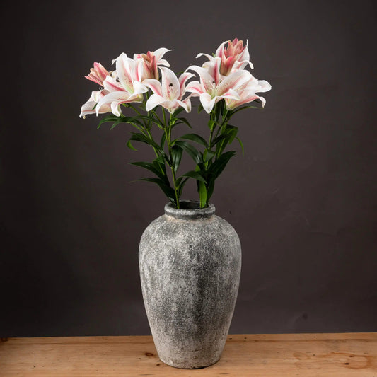 Stargazer Lily Makur Interior