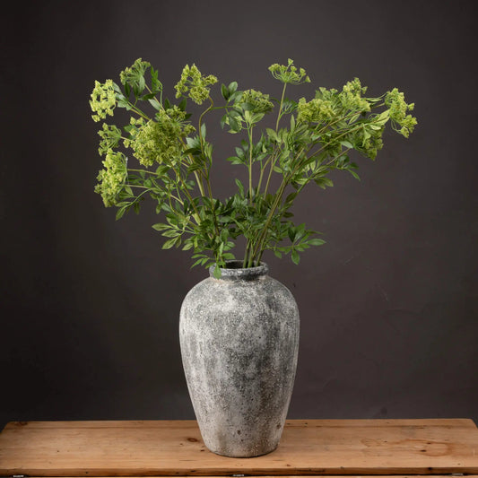Faux Cow Parsley Ammi Makur Interior