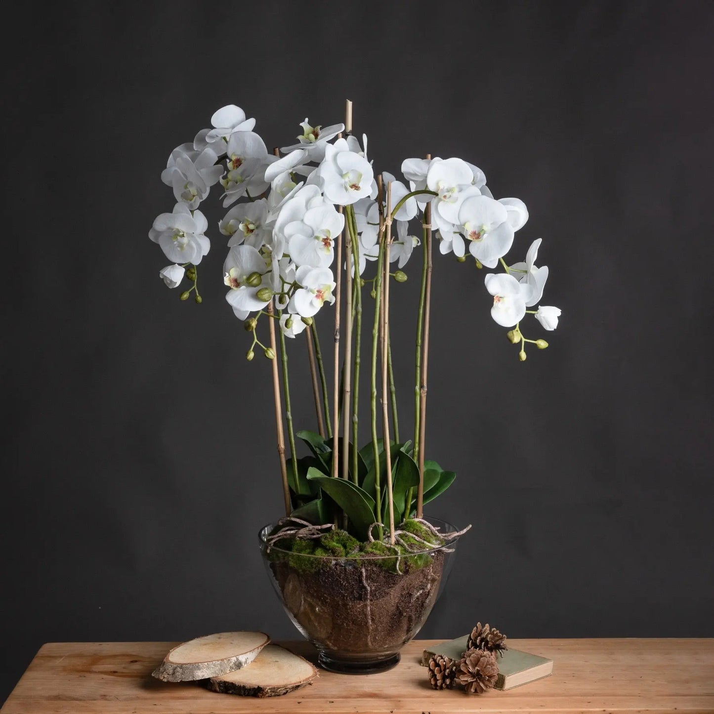 Large White Orchid In Glass Pot Makur Interior