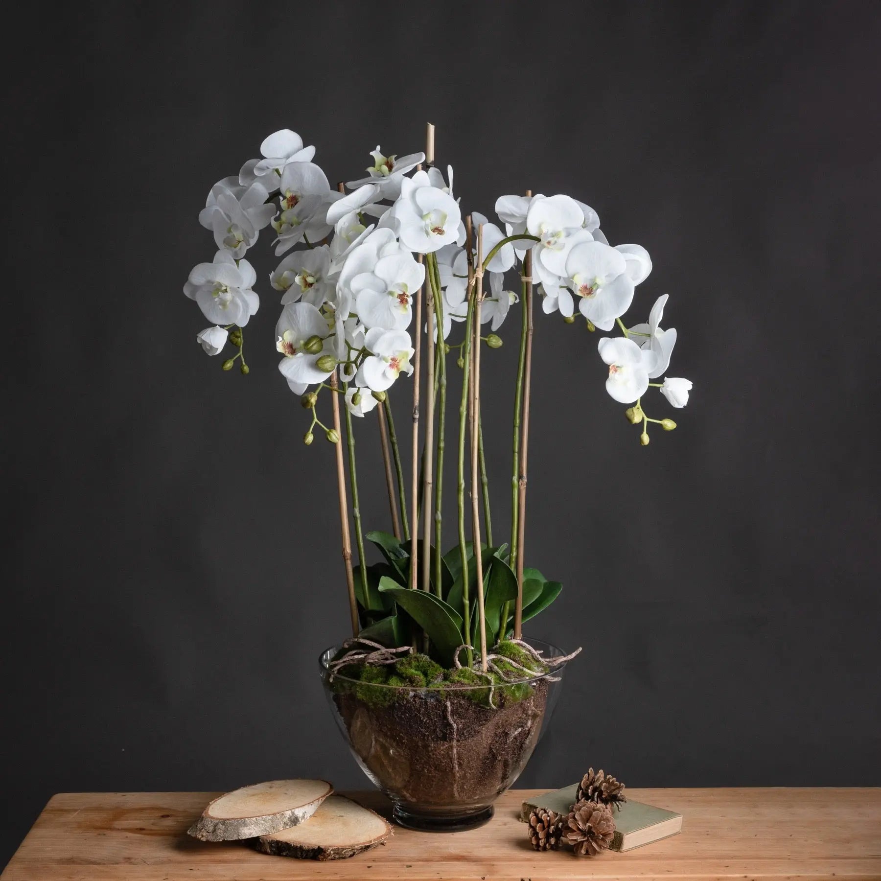 Large White Orchid In Glass Pot Makur Interior
