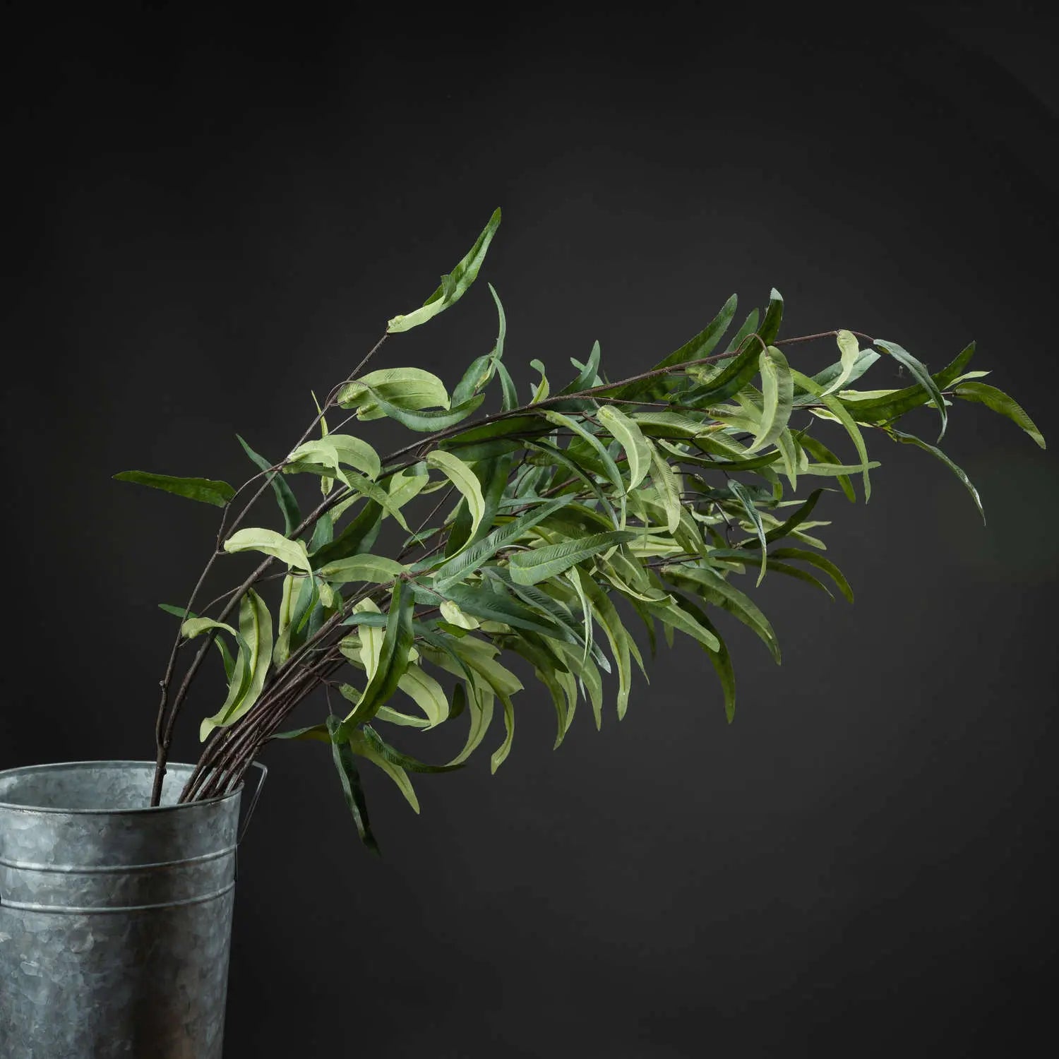 Eucalyptus Nicholii Spray Makur Interior