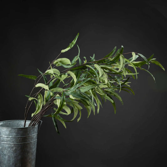 Eucalyptus Nicholii Spray Makur Interior