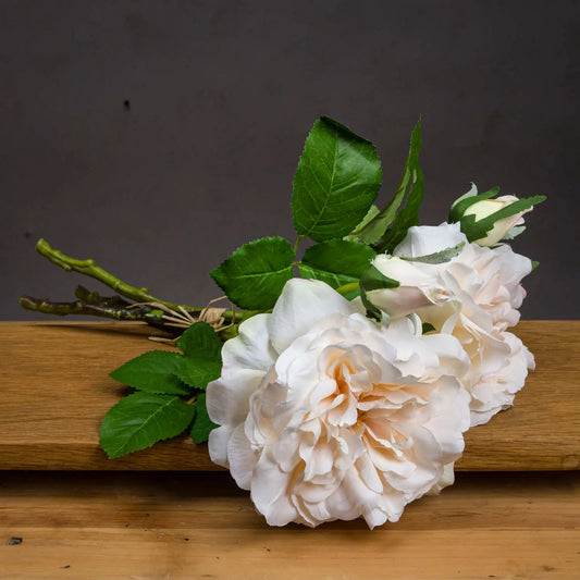 Peachy Cream Short Stem Rose Bouquet Makur Interior