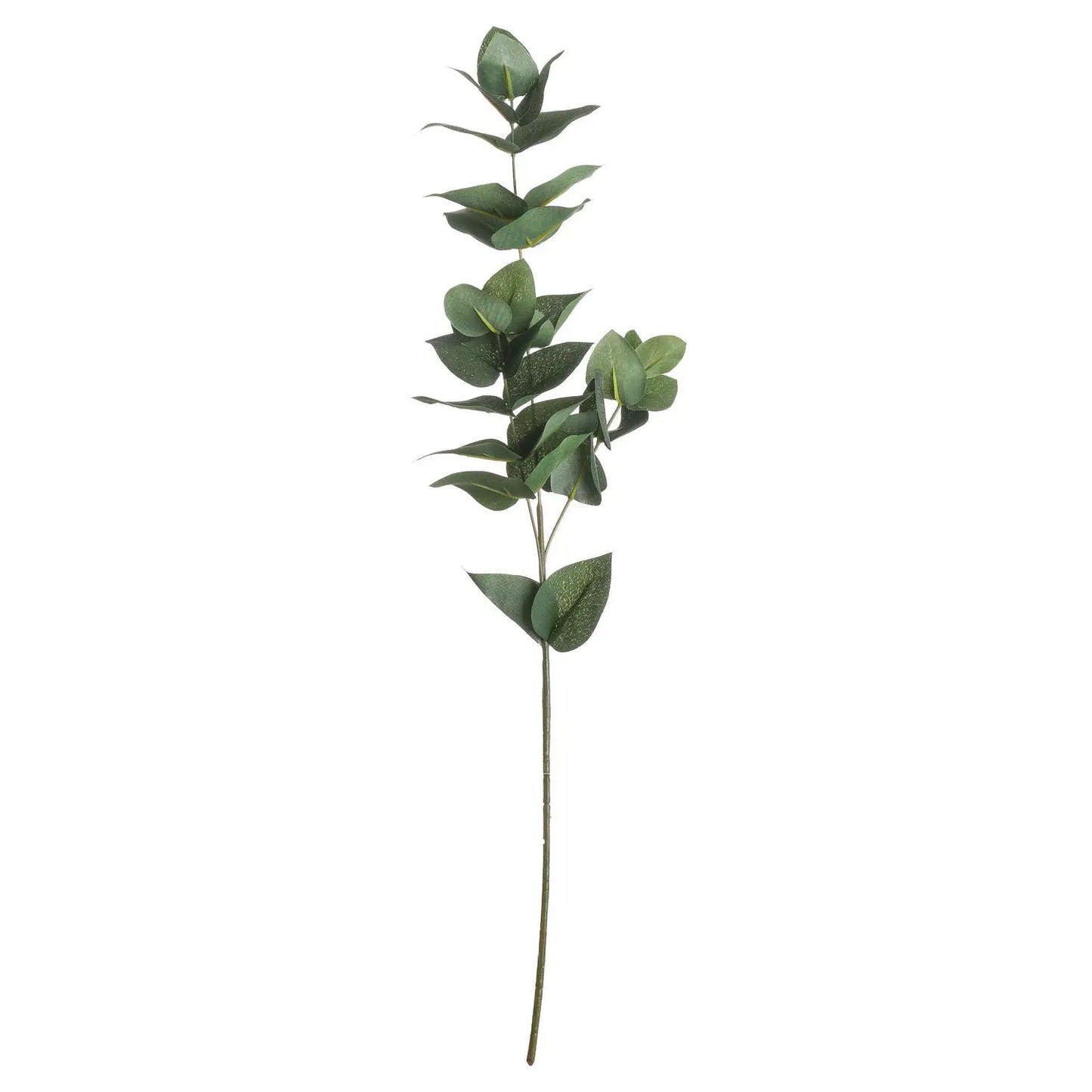 Eucalyptus Filler Makur Interior