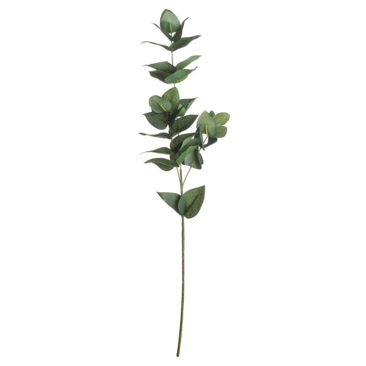 Eucalyptus Filler Makur Interior