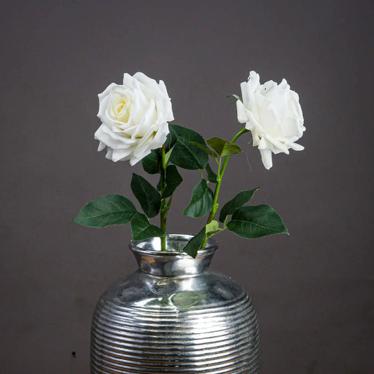 Large White Garden Rose Makur Interior