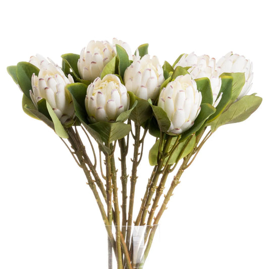 Closed White Protea Makur Interior