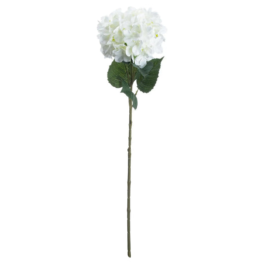 Single White Hydrangea Makur Interior