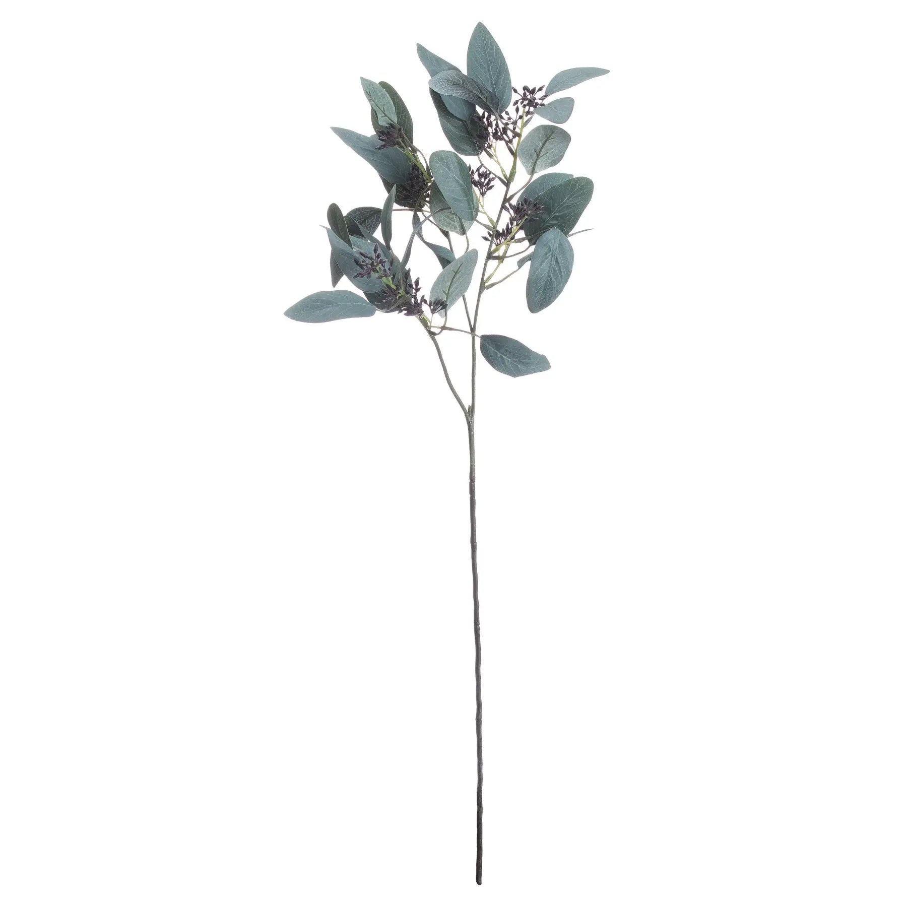 Seeded Eucalyptus Stem Makur Interior